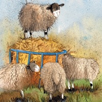 Sheep and Hay Card