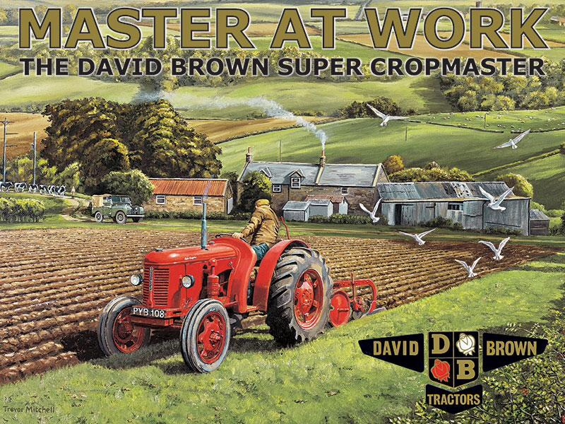 Master at Work David Brown Tractor Metal Sign