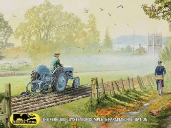 Ferguson Mechanisation Metal Sign