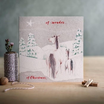 Star of Wonder Christmas Card