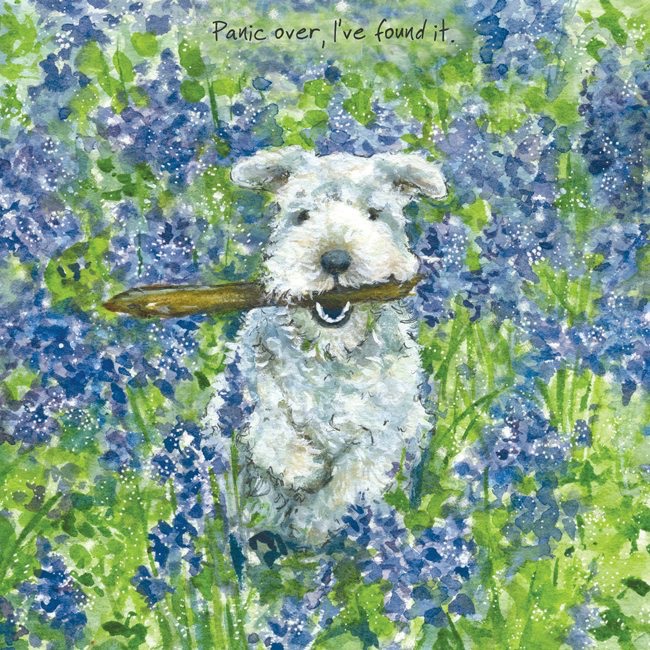 Bluebells Card