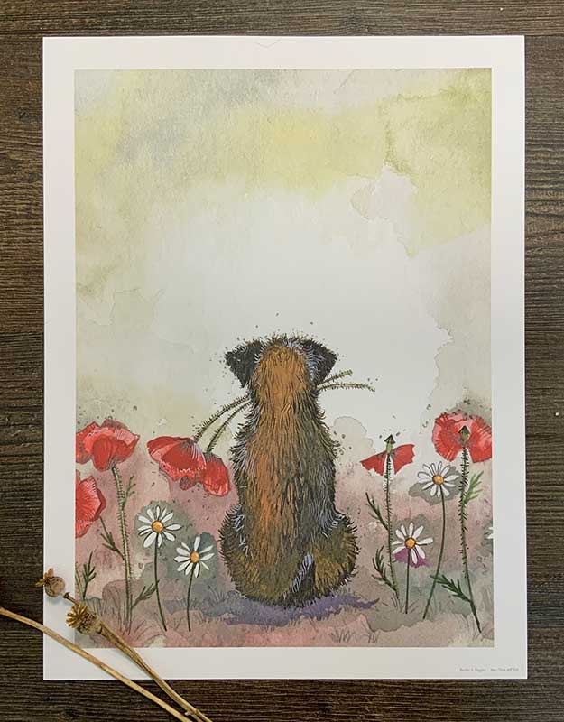 Border Terrier and Poppies Art Print