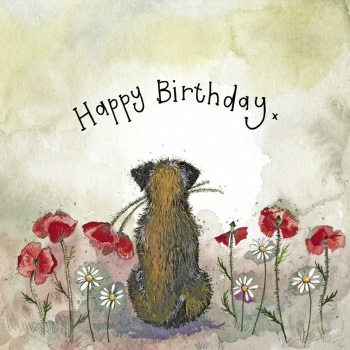 Sunshine Border Terrier Birthday Card