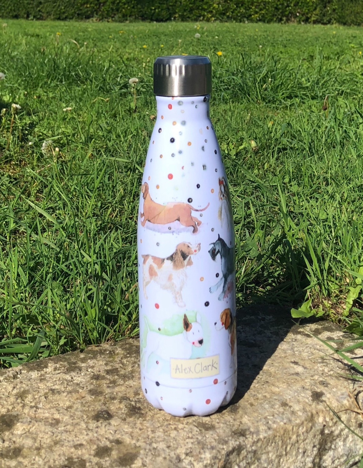 Are Plastic Bottles Safe For Dogs