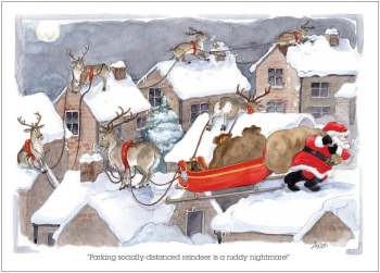 Socially distanced Reindeer Christmas Card