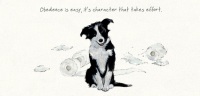 Obedience Border Collie Card