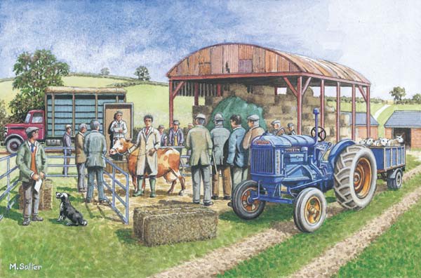 The Cattle Auction Card