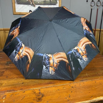 Old Friends Umbrella