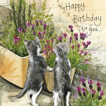 In the Lavender Birthday Card