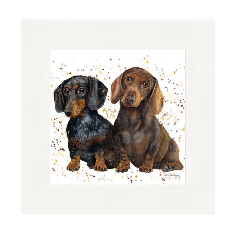 Slinky & Scooter Dachshund Mounted Print