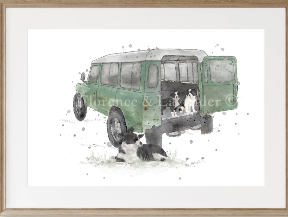 The Apprentices- Land Rover and Sheep Print