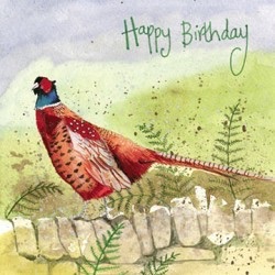Pheasant on the Wall Birthday Card