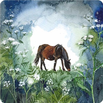Horse in Cow Parsley Coaster