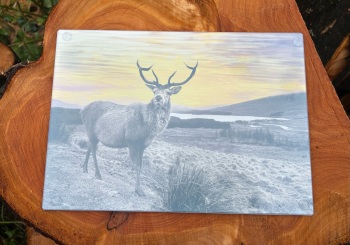 Highland Stag Glass Chopping Board/Worktop Saver