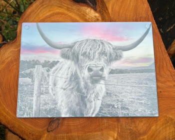 Red Sky Highland Cow Glass Chopping Board/Worktop Saver