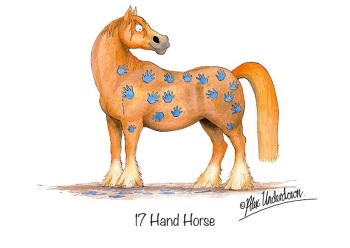 17 Hands Horse Card