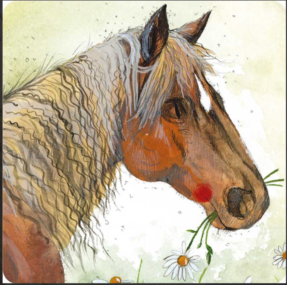 Horse in Flowers Coaster