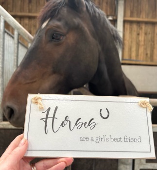 Horses are a Girl's Best Friend Wooden Sign