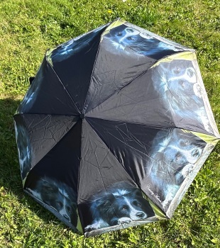 Border Collie Umbrella