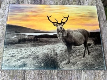 Highland Stag Glass Chopping Board/Worktop Saver