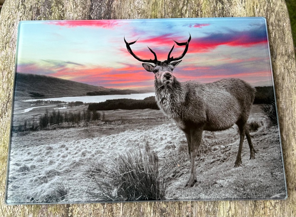 Red Sky Highland Stag Glass Chopping Board/Worktop Saver