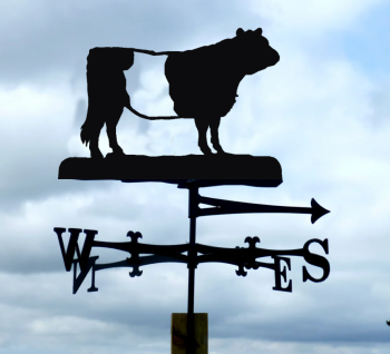 Belted Galloway Traditional Weathervane