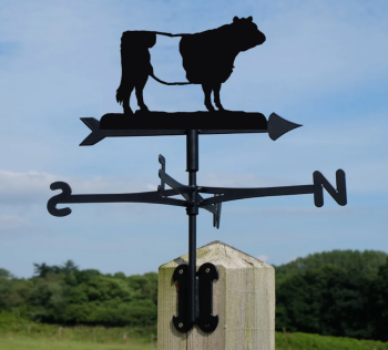 Belted Galloway Cottage Weathervane