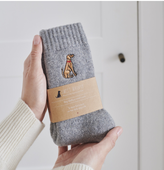 Dog Walker Socks- Vizsla