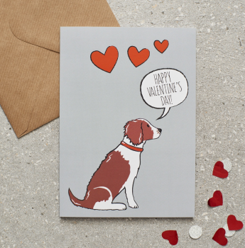 Liver and White Springer Spaniel Valentines Card