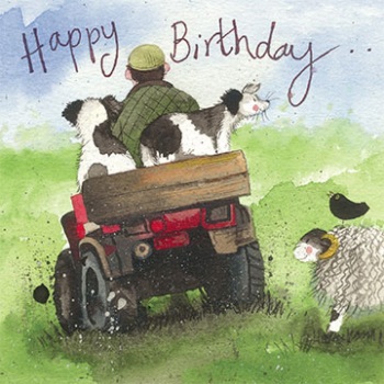 Joy Ride Birthday Card