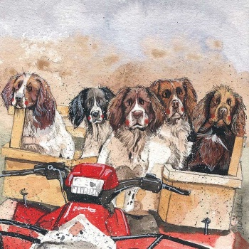 Working Spaniels Card