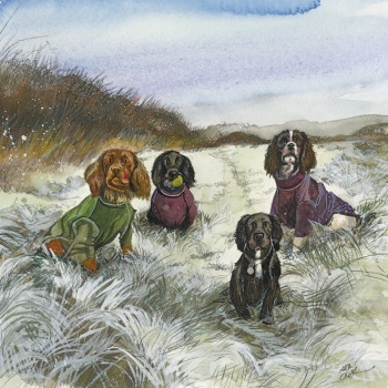 Winter Coats Spaniels Card