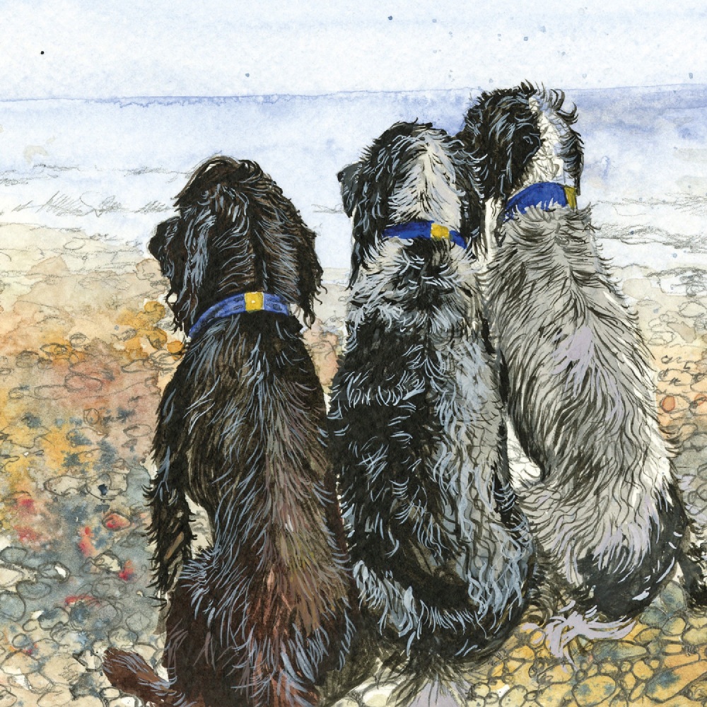 Spaniels by the Sea Card