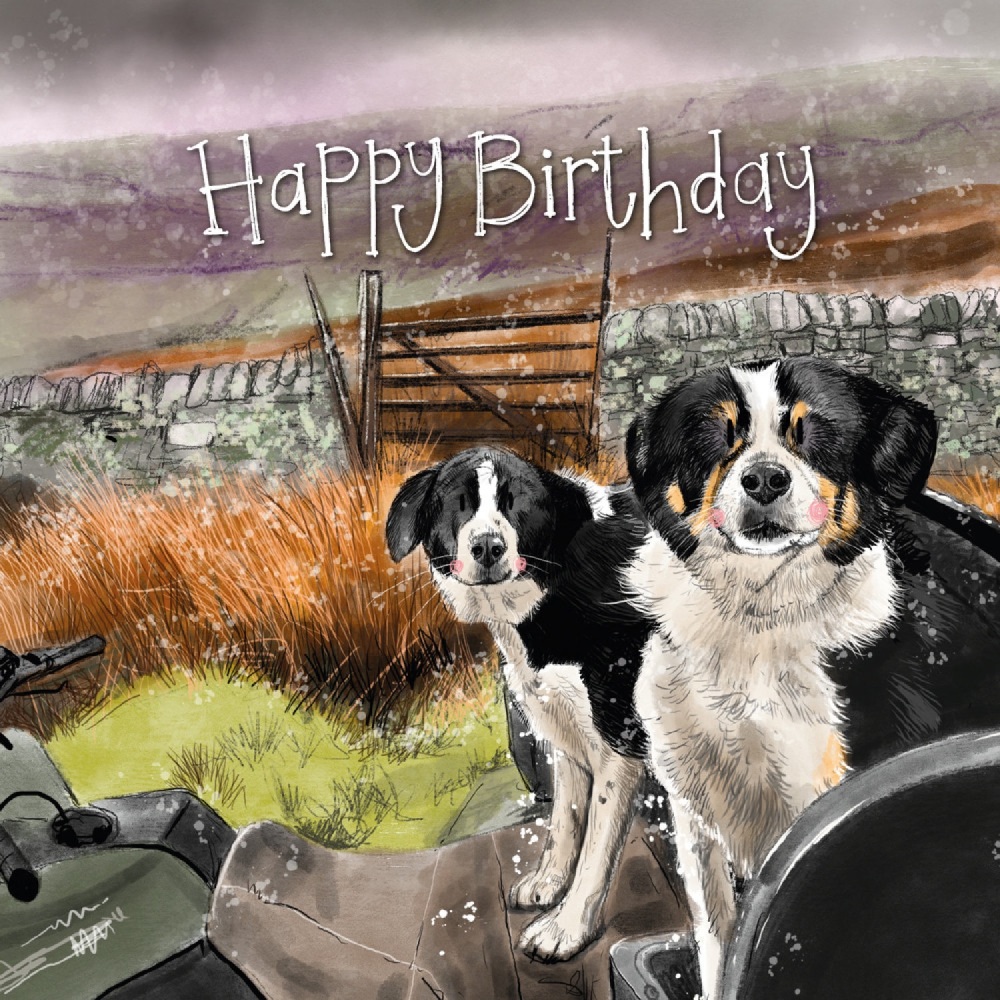 Collie Squad Birthday Card