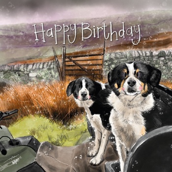 Collie Squad Birthday Card