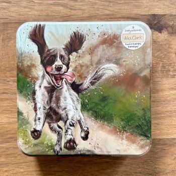 Dogs Notecards Tin