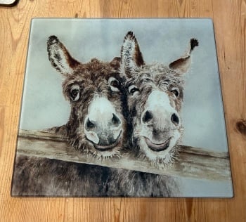 Ollie & Stan Donkeys Glass Worktop Saver