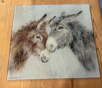 Donkeys Cuddle Glass Worktop Saver