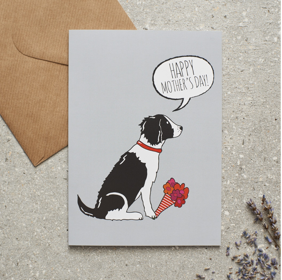 Black and White Springer Spaniel Mother’s Day Card