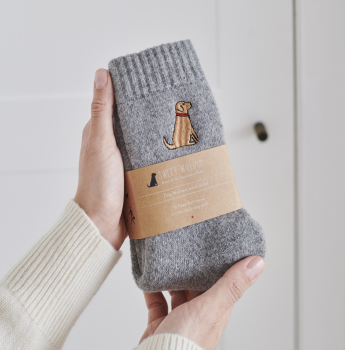 Dog Walker Socks- Fox Red Labrador