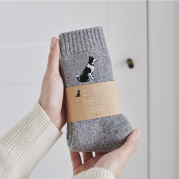 Dog Walker Socks- Border Collie