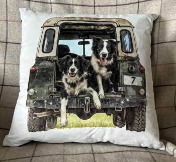 Border Collies in Land Rover Cushion