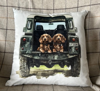 Cocker Spaniels in Land Rover Cushion