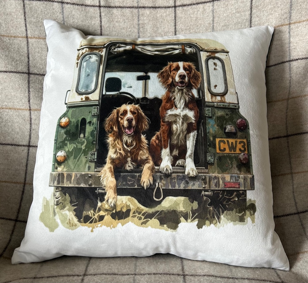 Spaniels in Land Rover Cushion