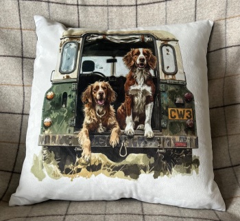 Spaniels in Land Rover Cushion