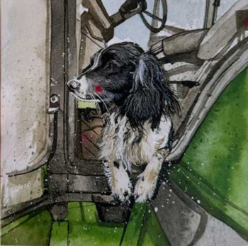 Austin Spaniel Card