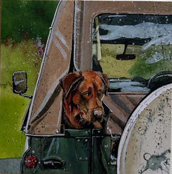 Working Fox Red Lab Card