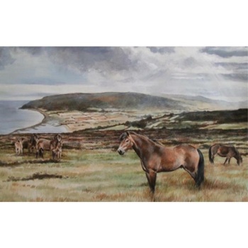 Exmoor Ponies at Porlock Hill Mounted Print
