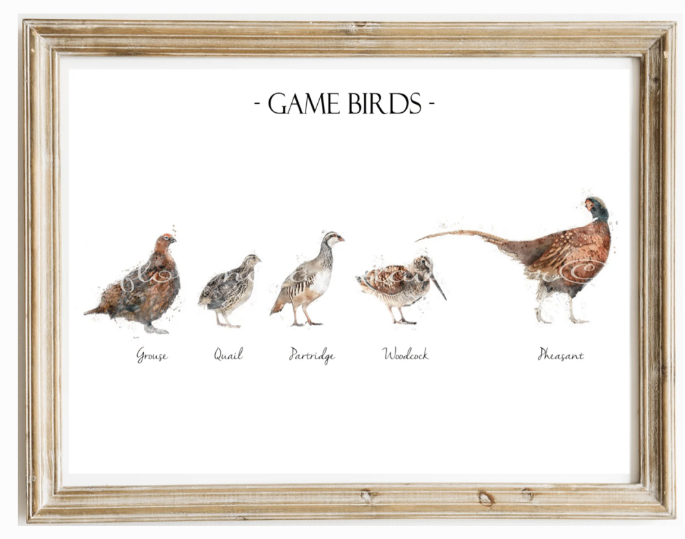 Game Birds Print