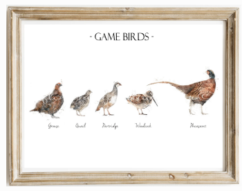 Game Birds Print